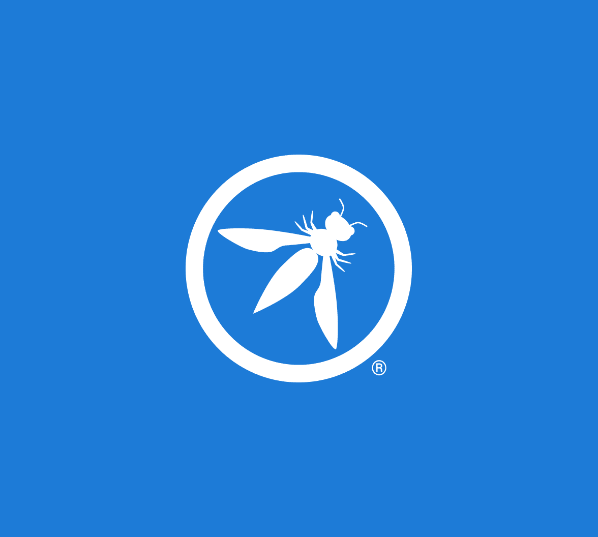 What Is Owasp