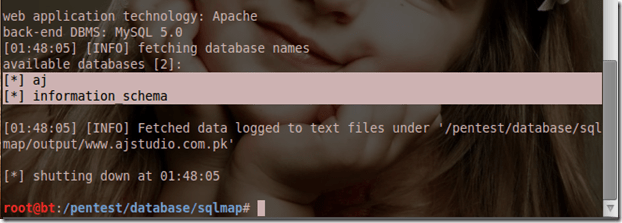 SQLmap