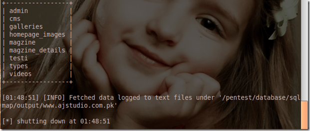 SQLmap